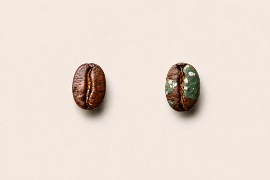 Schimmelvrije koffie kopen: waar moet je op letten? (BE & NL)