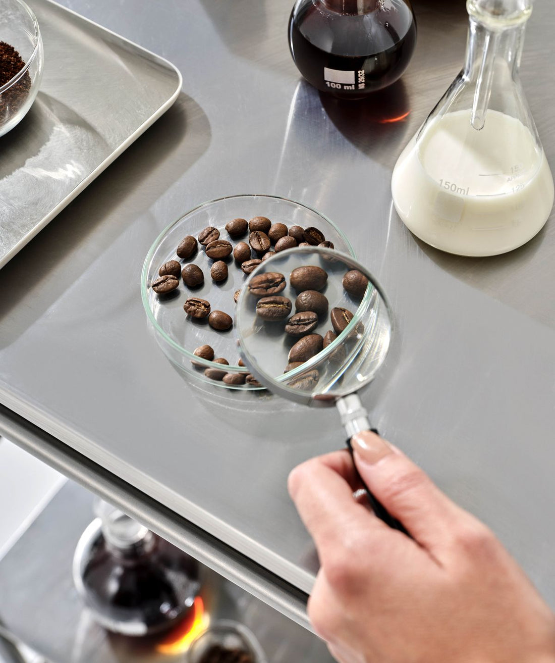 Zuivere Koffie