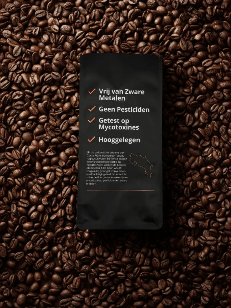 Ophis  – Costa Rica Highlands